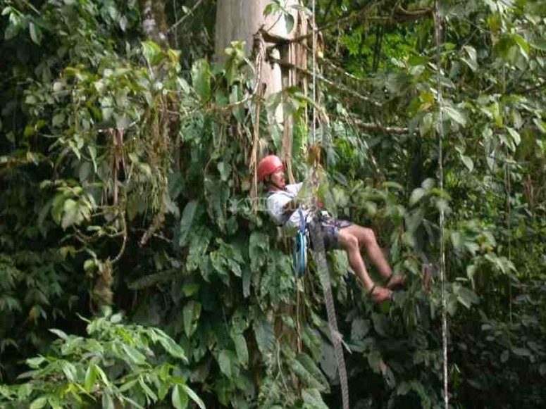 Tirolina en plena selva Tirolina en plena selva